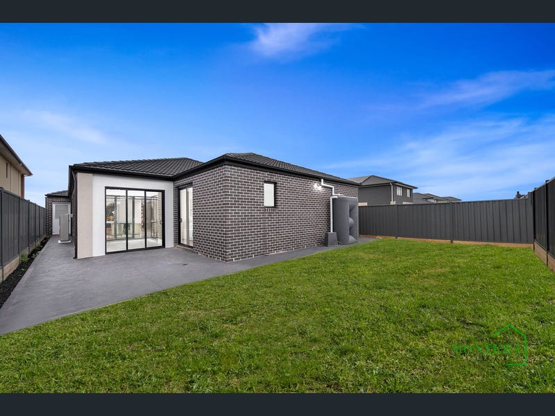 More photos